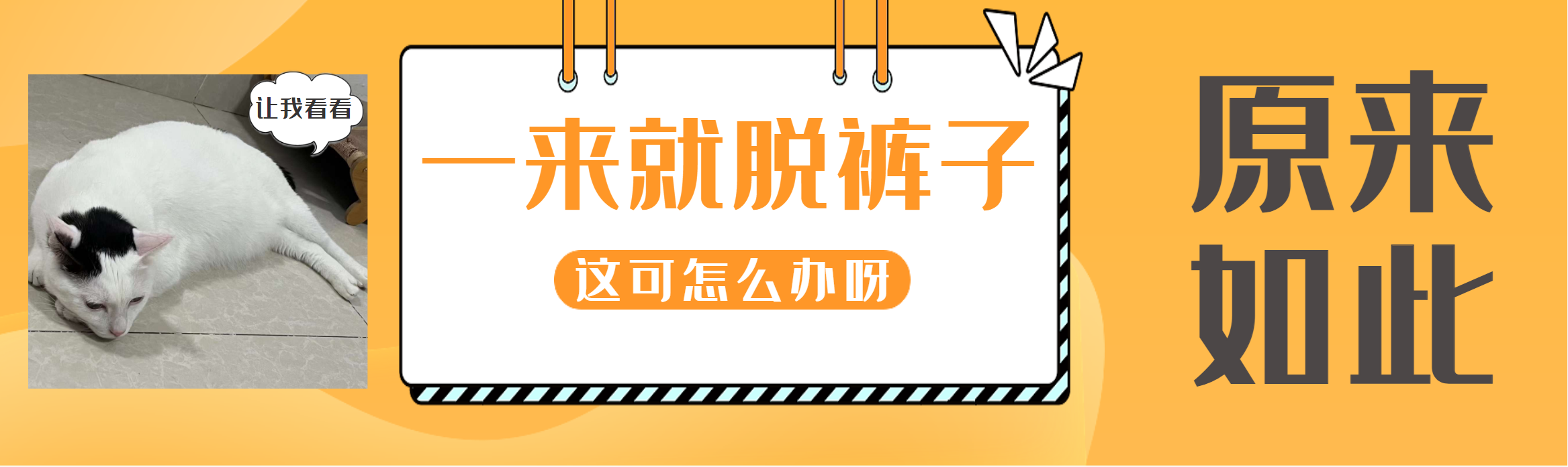 “医生，彩超怎么还是黑白的？”